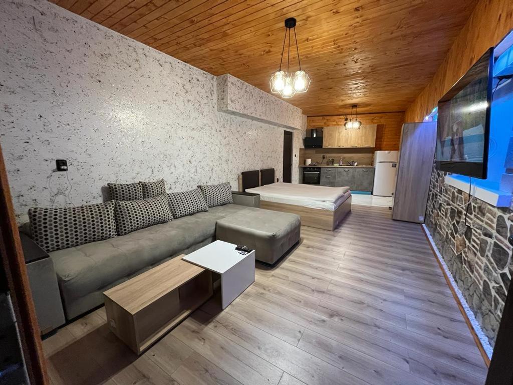 Апартаменти Dream Sarnitsa Esterno foto